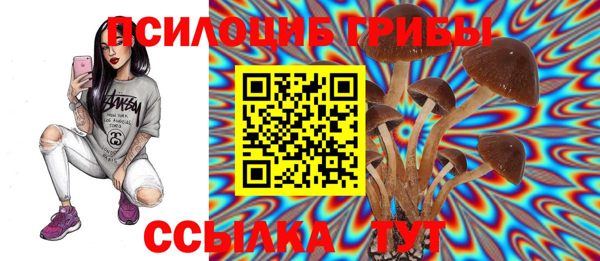 Галлюциногенные грибы Magic Shrooms  Галлюциногенные грибы Psilocybe  Вход с VPN  Тара 
